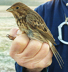 On The Farm Nov 20 02.jpg