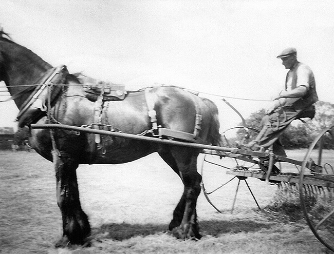File:Stocken Farm 1935 24.jpg
