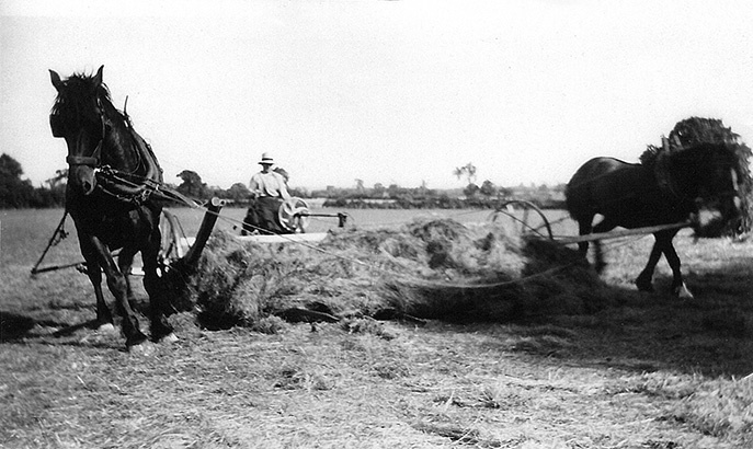 File:Stocken Farm 1935 22.jpg