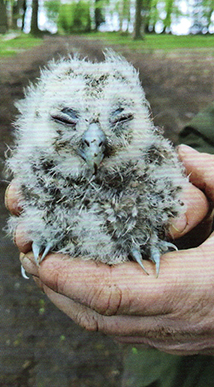 On The Farm Aug 21 01.jpg