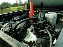 Lockdown Litter Pick.jpg