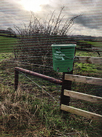 On The Farm Feb 23 03.jpg