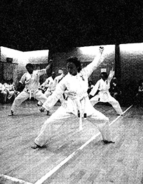 Karate 02.jpg