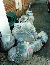 Parish Litter Pick 02.jpg