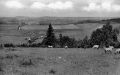 Looseley Row Pink Hill.jpg