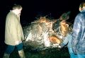 Chestnut Tree 01.jpg