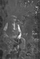 Thumbnail for version as of 10:07, 31 May 2023