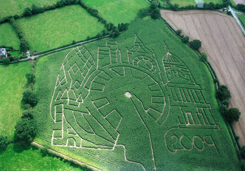 File:Maize Maze 2009.jpg