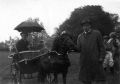 Harol Janes and Betty.jpg