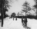 Clearing Snow.jpg
