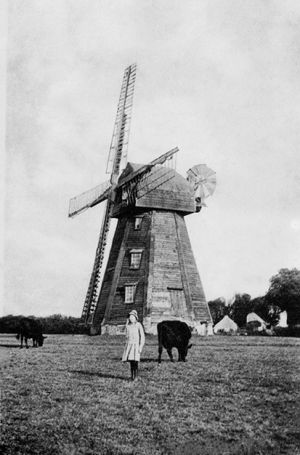 Windmill Girl.jpg