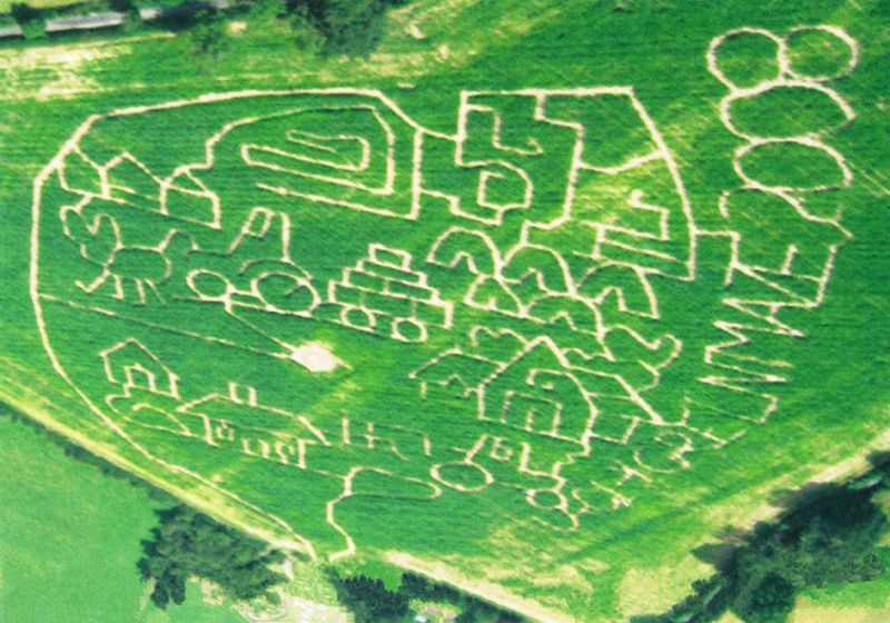 File:Maize Maze 2008.jpg