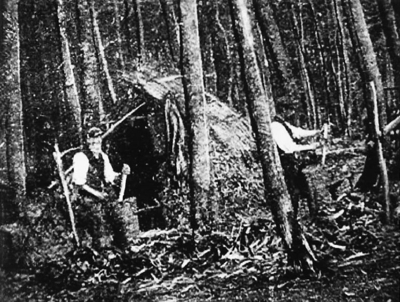 File:Bodgers World 13.jpg