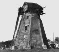 1956 Windmill .jpg