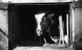 Thumbnail for version as of 11:04, 24 August 2023
