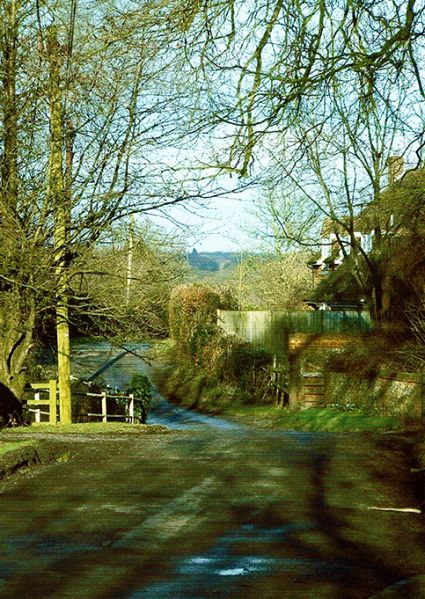 File:Winter Sunshine.jpg
