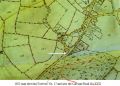 Thumbnail for version as of 06:36, 8 August 2023